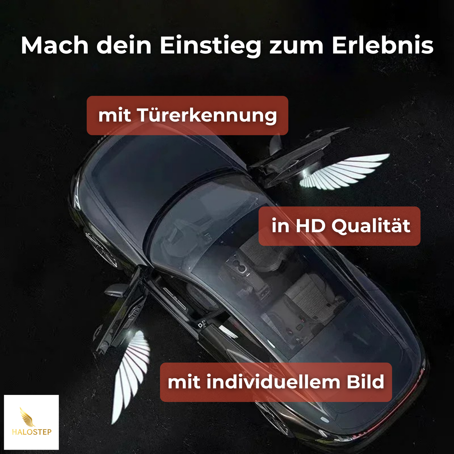 HaloStep