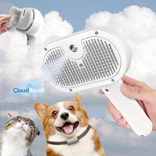 CloudBrush