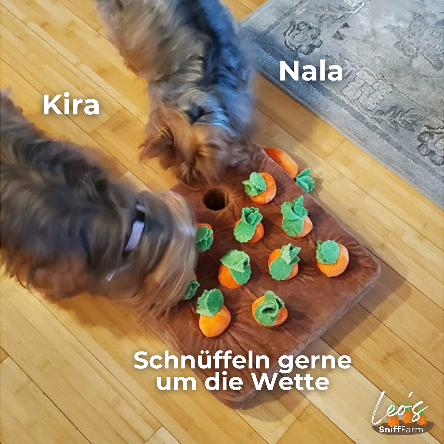 Leo’s SniffFarm™