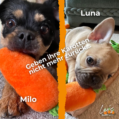 Leo’s SniffFarm™