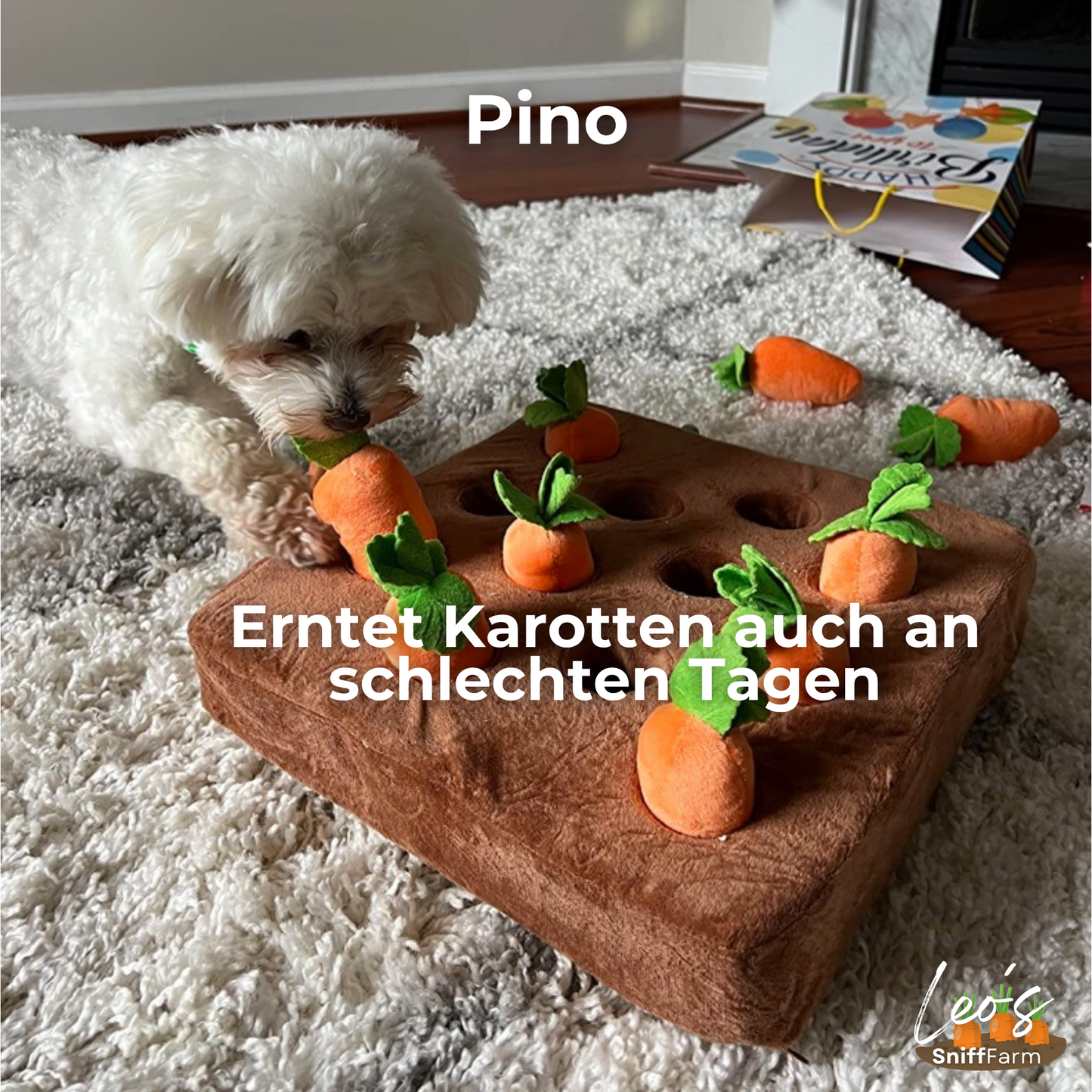 Leo’s SniffFarm™